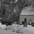 Srušilo se ''sveto drvo'' u Ivanjici! Hrast pao na crkvu, oštetio krov: Meštani zgranuti prizorom na groblju (video)