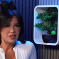 Stanija poslala jasnu poruku Nakon ovih reči svi predviđaju kraj ljubavi sa Asminom: "Piši propalo!"