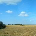 Zakup državnih njiva: U Požarevcu se na godinu dana nudi 401 parcela