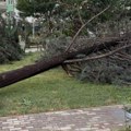 Jaki vetrovi u Poljskoj ostavili na hiljade građana bez struje, vatrogasci intervenisali više od 800 puta