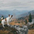 Koliko su ljudi u Srbiji spremni da se presele, zbog čega to rade i u koja mesta odlaze?
