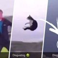 Snimak tinejdžera koji baca mačku sa litice zgrozio internet, umešala se i policija: "Šta sam upravo video"