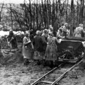 Gromoglasna šutnja o Holokaustu: Autorski tekst Jaroslava Pecnika