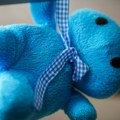 Gde si, mali vlasniče? Jedan zeka traži zagrljaj, a Srbi u Grčkoj u misiji ljubavi ceo internet pomaže u potrazi!