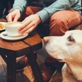 U ovaj restoran u Argentini dobrodošli su i psi lutalice Dirljiv natpis na ulazu oduševio ljude na mrežama