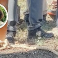 Oglasila se Uprava za izvršenje krivičnih sankcija o studentu Bogdanu kog su vezanog doveli na sahranu oca