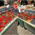 (Foto) Zimska egzotika na Futoškoj pijaci: Jagode i borovnice stigle, ali se kupuje na meru