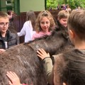 Subotica prva sertifikovana destinacija u Srbiji namenjena porodičnom turizmu