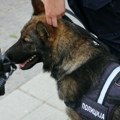 Ponovo dojave o postavljenim bombama u školama u Novom Sadu i drugim gradovima