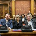 Zdrava Srbija postala parlamentarna stranka