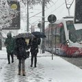 Kolaps na Slaviji! Palo drvo na tramvaj, saobraćaj u prekidu u centru Beograda