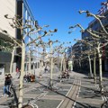 Nemci sve manje idu u prodavnice, promenili navike: Maloprodaja u julu mesečno pala za 1,5 odsto
