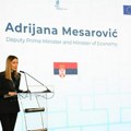 Mesarović na obeležavanju jubileja Zavoda: "Inovacije pokreću Srbiju"