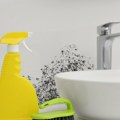 Uklonite buđ iz kupatila na potpuno prirodan način: Sve što vam je potrebno jeste proizvod koji sigurno imate u svom dom