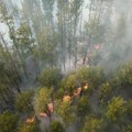 Radiološka situacija u Rusiji stabilna uprkos požaru u Černobilju