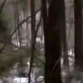 Šok scena na frontu za praznike! Rusi i Ukrajinci spustili oružje, dozivaju jedni druge, zapevali čuvenu ljubavnu pesmu…