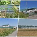 „Јовањица“ одблокирана: Рачуни фирме Предрага Колувије више нису под принудном наплатом