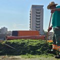 Košenje, uništavanje ambrozije: Da li ste zadovoljni kako JKP Šumadija održava zelene površine?