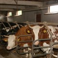 Podstrek o(p)stanku na selu: Kraljevčani i ove godine nastavljaju sa značajnim ulaganjima u agrar