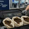 Tri žive zmije pronađene u koferu putnika na aerodromu u Frankfurtu