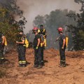 Ugašen veliki požar na Fruškoj gori: Čak 40 ljudi se borilo sa vatrom, ali opasnost još nije prošla (foto)