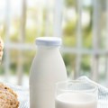 Čiji je jogurt? Turci mu dali ime, Bugari bakteriju, a trag porekla vodi i do juga Srbije