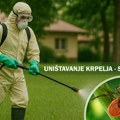 Od sutra tretman protiv krpelja na teritoriji Subotice