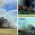 Gori šest hektara borove šume, vetar nosi vatru ka naseljenim mestima: Na licu mesta vatrogasci iz nekoliko gradova, zatvoren…