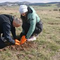 Obrt! Stigle neverovatne slike sa Zlatibora: "Kažete da je siv i betoniran, a on zeleniji nego ikad"