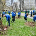 Zasadi drvo: WMG i AHK obeležili jubilej sadnjom u Beogradu. U okviru projekta posađeno 50 sadnica uz podršku kompanija…