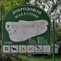 „Humanitarni ponedeljak“ za devetogodišnu Galinu