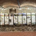 „Vilinski konjici Srbije“ u Nišu – izložba o krilatim grabljivicama u Galeriji Društva arhitekata