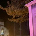 Tanja Nikolić: U centru Sokobanje oskrnavljen spomenik palim borcima u Prvom svetskom ratu, nadležni ne reaguju!