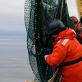 Sablasni stvor uhvaćen u dubinama mora: Naučnici nisu mogli da veruju šta vide u mreži koju su izvukli na istraživački…