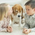 Možete li da pogodite koja su imena najčešće davana deci u Srbiji prošle godine? Dva su odskočila!