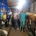 Ne beže ni od štale, ni od krave: Sjajna slika stiže iz Prijepolja, mladi jačaju šanse za zapošljavanje kroz razvoj stočarstva…
