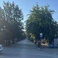 Ariljci izašli na ulicu i spasili drvorede u centru grada