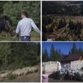 "Vukovi se šunjaju čim padne mrak, pre neki dan srnu zaklali": Željko drži jedino stado na surovoj srpskoj planini