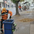 JKP Mediana: Sakupljanje lišća, košenje i uređenje parkova