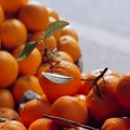 Mandarine ove godine manje isplative