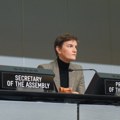 Brnabić: Tokom mog predsedavanja u Ženevi govorilo se o godišnjici NATO agresije
