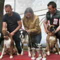 Poznata satnica Međunarodne izložbe pasa u Vranju