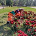 Uređenje parkova na više lokacija