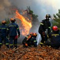 Grčkim vatrogascima dok su gasili požare obili automobile i skinuli točkove