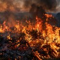 Knjaževčanin priznao tužilaštvu da je izazvao požar na Bovanskom jezeru