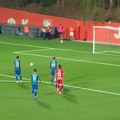 VAR presudio - penal za Zvezdu: I tek onda sledi šok! (video)