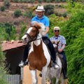 Bičem do profita – konj u Grčkoj uginuo prevozeći turiste, burne reakcije javnosti