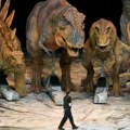 Dinosaurusi bi možda još uvek hodali Zemljom da nije bilo asteroida, sugeriše istraživanje
