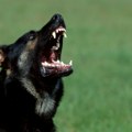 Uhapšena tetka Stefanosa Cicipasa nakon napada pasa: Policija traga i za majkom tenisera, tri osobe ujedene