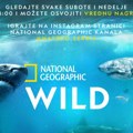 Uronite u leto sa podvodnim superherojima! Tradicionalni National Geographic Sharkfest počinje 1. jula